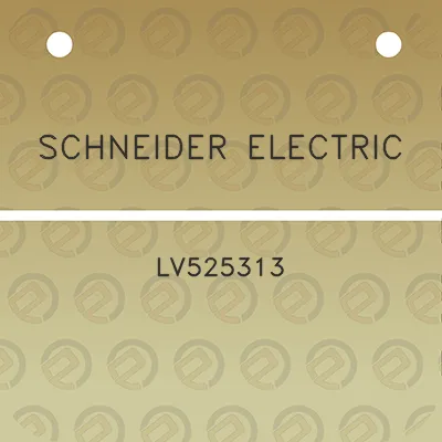 schneider-electric-lv525313