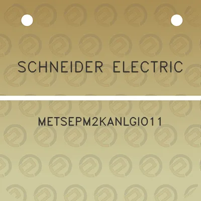 schneider-electric-metsepm2kanlgio11