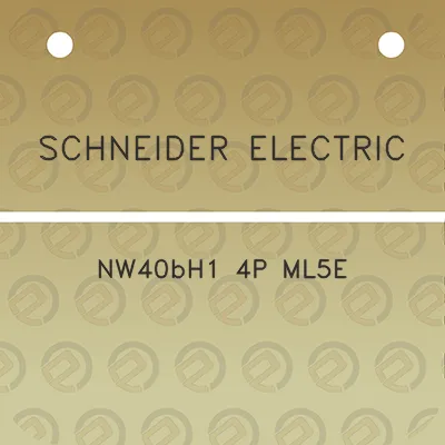 schneider-electric-nw40bh1-4p-ml5e