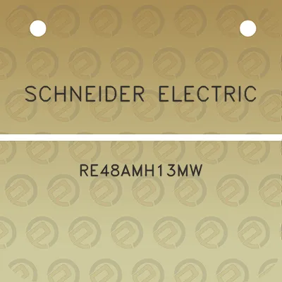 schneider-electric-re48amh13mw