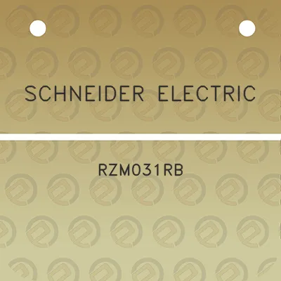 schneider-electric-rzm031rb