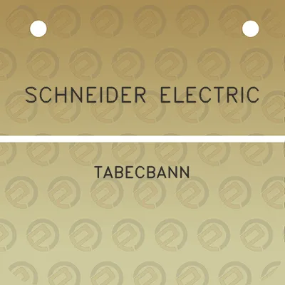 schneider-electric-tabecbann