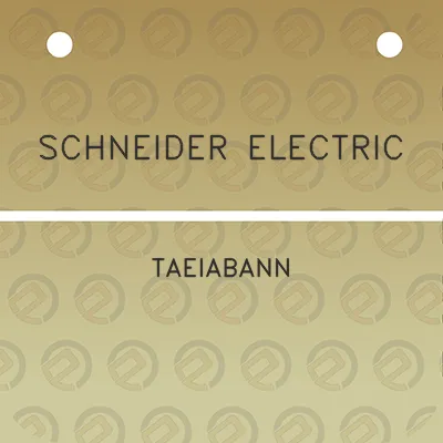 schneider-electric-taeiabann