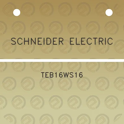 schneider-electric-teb16ws16