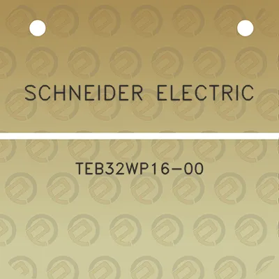 schneider-electric-teb32wp16-00