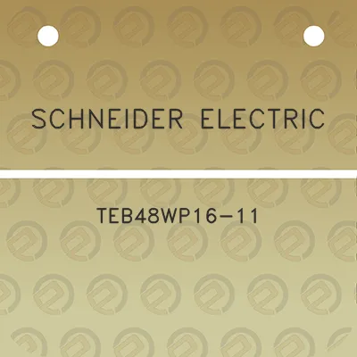 schneider-electric-teb48wp16-11