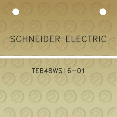 schneider-electric-teb48ws16-01