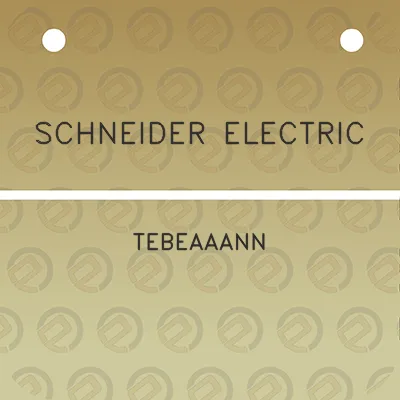 schneider-electric-tebeaaann