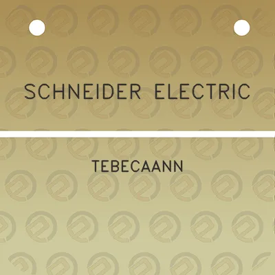 schneider-electric-tebecaann