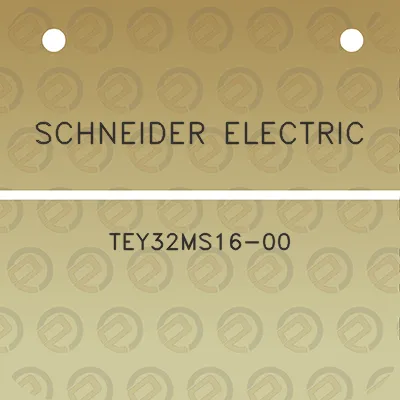 schneider-electric-tey32ms16-00