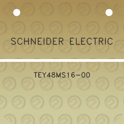 schneider-electric-tey48ms16-00