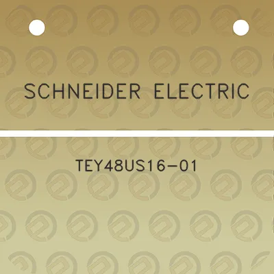 schneider-electric-tey48us16-01