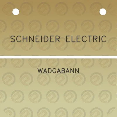 schneider-electric-wadgabann