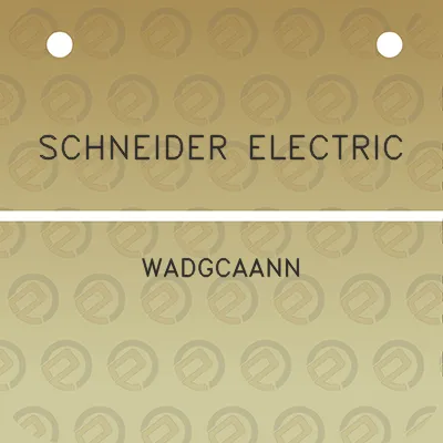 schneider-electric-wadgcaann