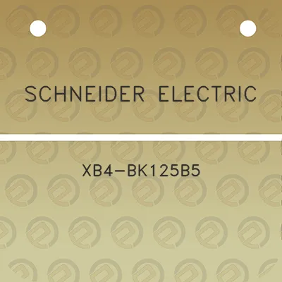 schneider-electric-xb4-bk125b5