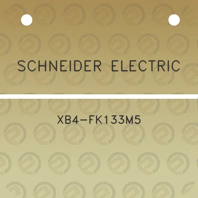 schneider-electric-xb4-fk133m5