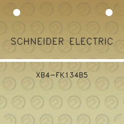 schneider-electric-xb4-fk134b5