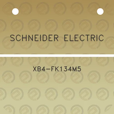 schneider-electric-xb4-fk134m5