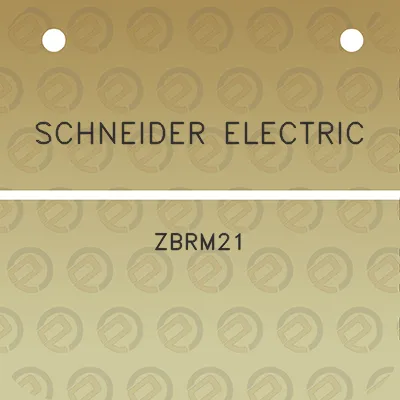 schneider-electric-zbrm21