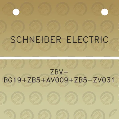 schneider-electric-zbv-bg19zb5av009zb5-zv031