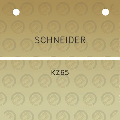 schneider-kz65