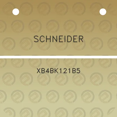 schneider-xb4bk121b5