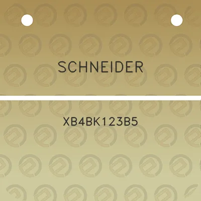 schneider-xb4bk123b5