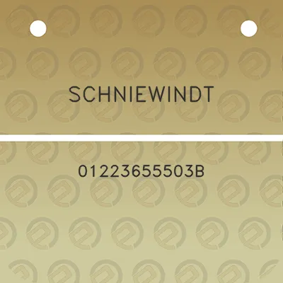 schniewindt-01223655503b