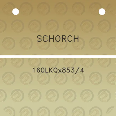 schorch-160lkqx8534