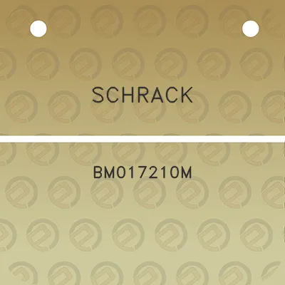 schrack-bm017210m