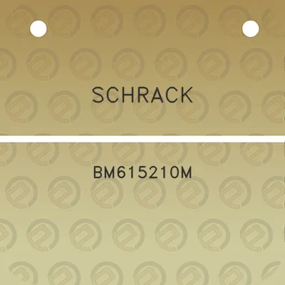 schrack-bm615210m