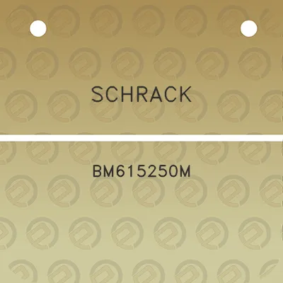 schrack-bm615250m