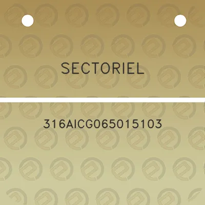 sectoriel-316aicg065015103