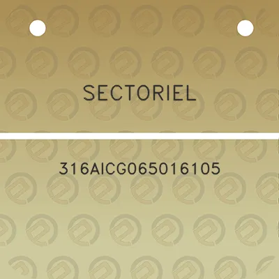 sectoriel-316aicg065016105