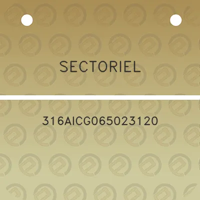 sectoriel-316aicg065023120