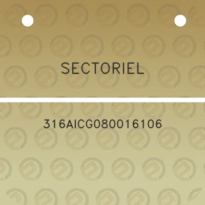 sectoriel-316aicg080016106