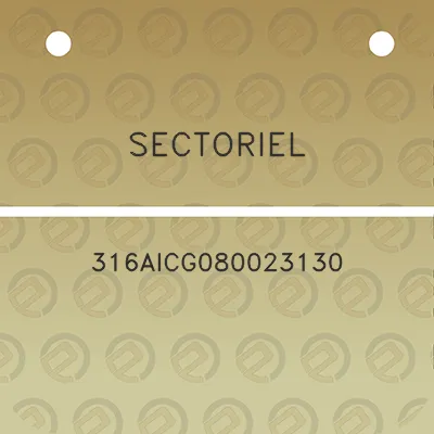 sectoriel-316aicg080023130