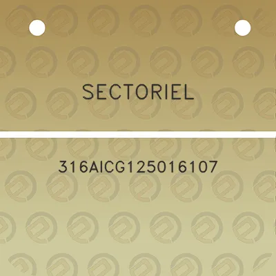 sectoriel-316aicg125016107