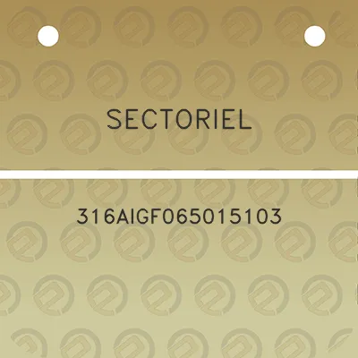 sectoriel-316aigf065015103