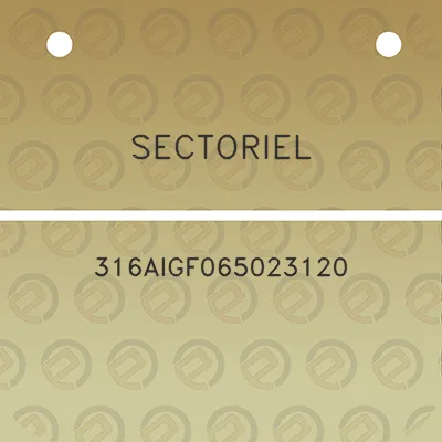 sectoriel-316aigf065023120