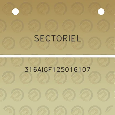 sectoriel-316aigf125016107