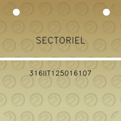 sectoriel-316iit125016107