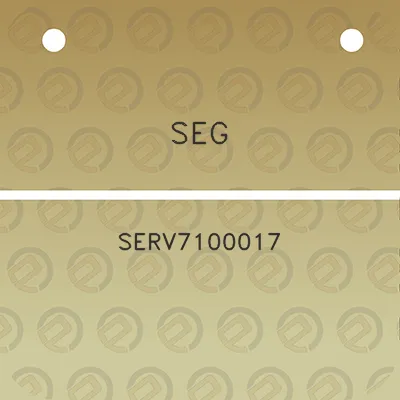 seg-serv7100017