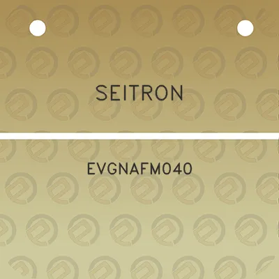 seitron-evgnafm040