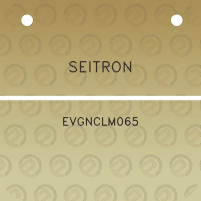 seitron-evgnclm065