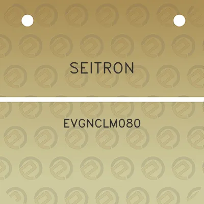 seitron-evgnclm080