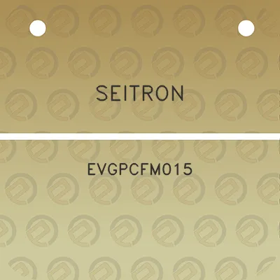 seitron-evgpcfm015