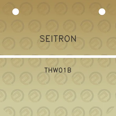 seitron-thw01b