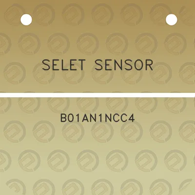 selet-sensor-b01an1ncc4