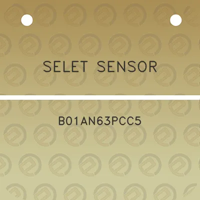 selet-sensor-b01an63pcc5